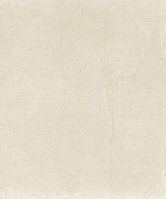 Aucune image 