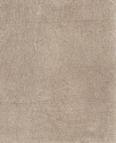 Aucune image 